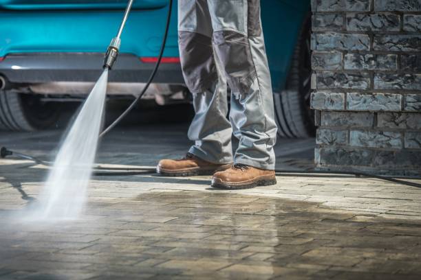 Best Roof Washing  in Chicopee, MA